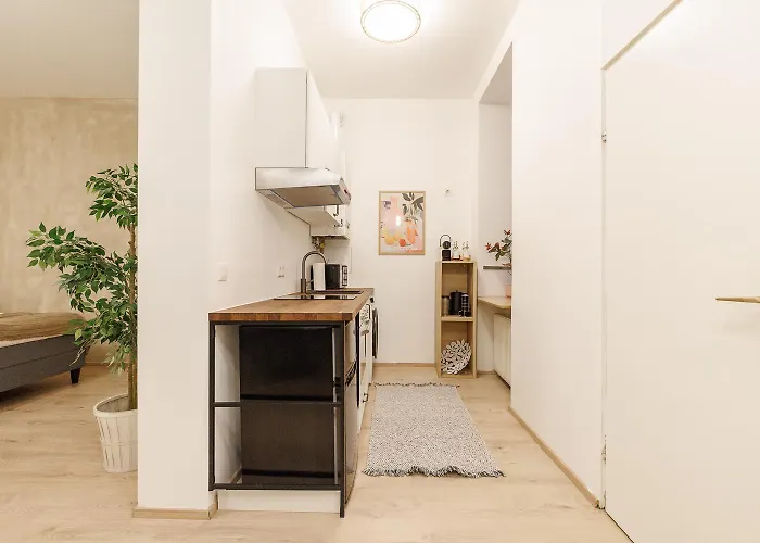 Centrally Located Prater With Air Condition Apartament *