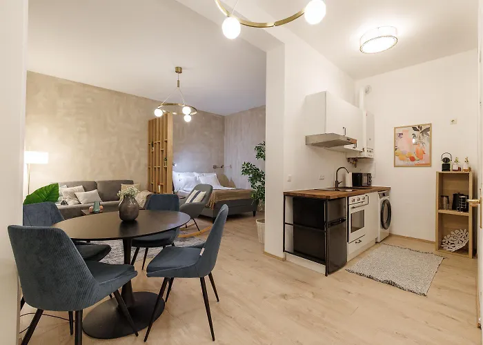 Centrally Located Prater With Air Condition Apartament